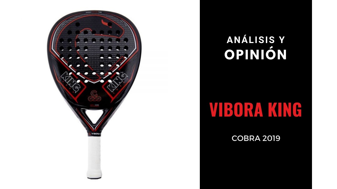 Análisis y Opinión Vibora King Cobra 2019